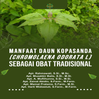 Manfaat Daun Kopasanda Chromolaena odorata L. sebagai Obat Tradisional