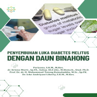 Penyembuhan Luka Diabetes Melitus dengan Daun Binahong